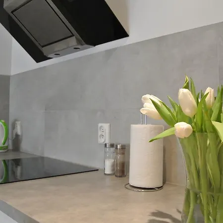 City House - Bianco Apartment *