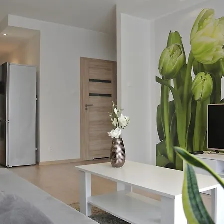 City House - Bianco Apartment *