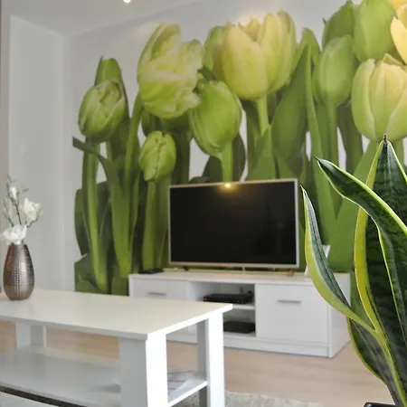 Apartment City House - Bianco Stettin