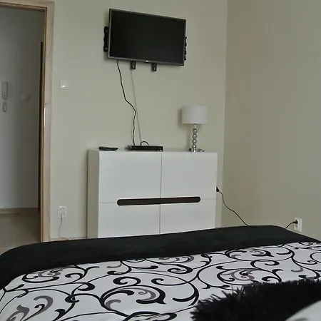 City House - Bianco Apartment *